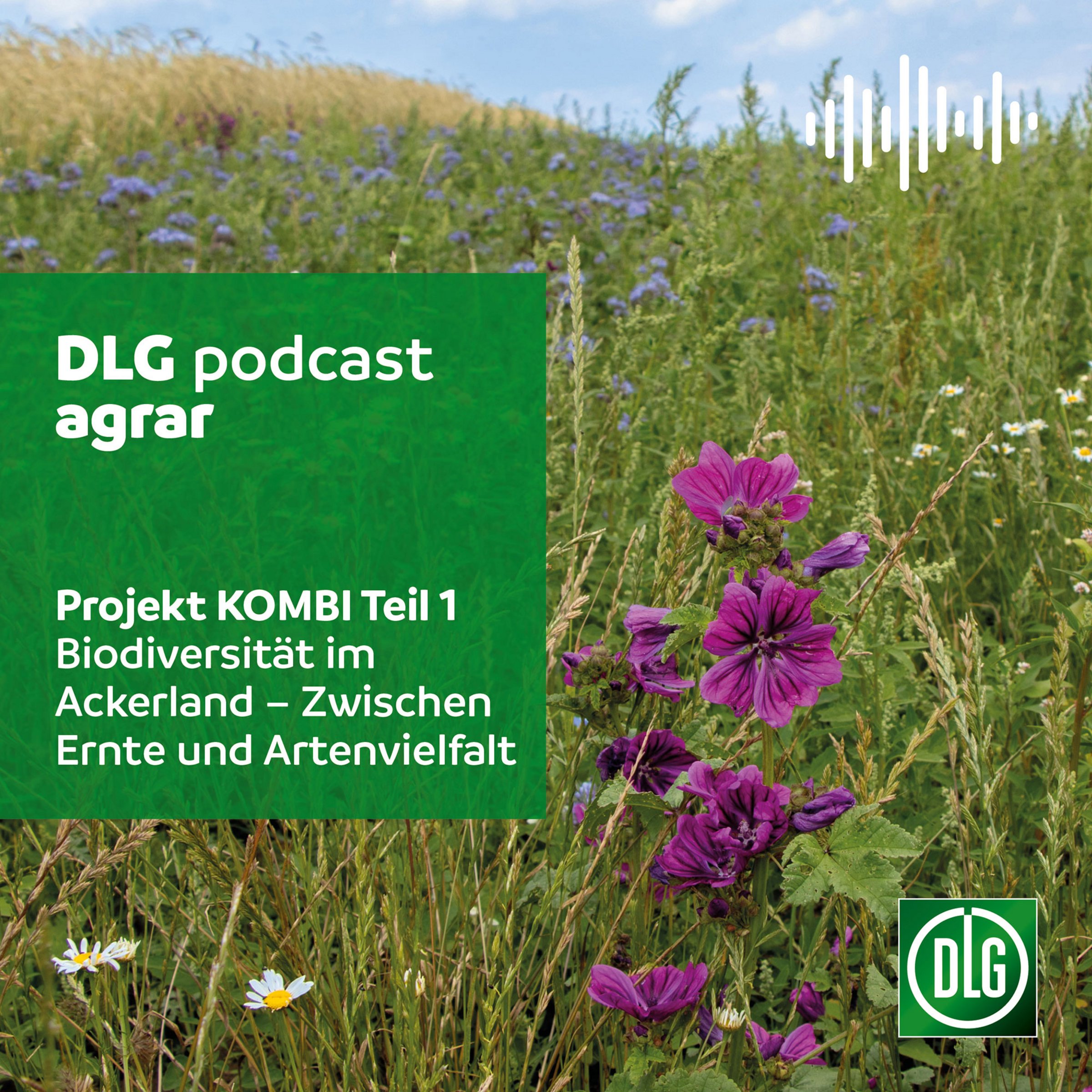 Bild zu Podcast: Biodiversität im Ackerland